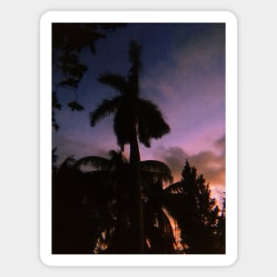 Pink Tropical Sunset Sticker